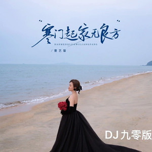 寒门起家无良方 (DJ九零版)