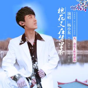 槐花又在梦里香