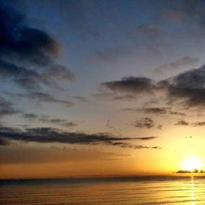 我在纸上写满了自己的青春