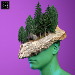 Incrust (Extended Mix)