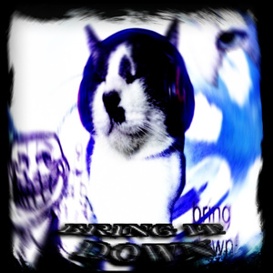 BRINGITDOWN (Slowed)