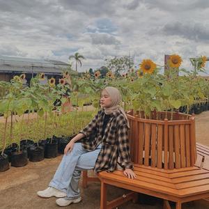 Dj Pemandangan Penuh Kasih