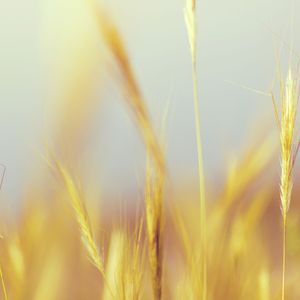 一尘不染在家冥想印象数