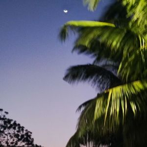 痛止痒（Prod.OroChi）