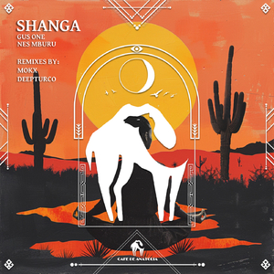Shanga (DeepTurco Remix)