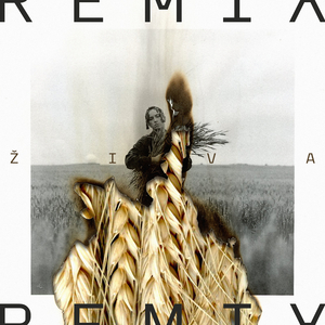 Voices (WarregoValles Remix)