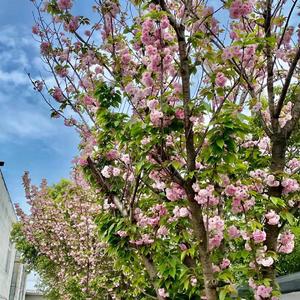 2022.03.26-20.21.07-下午_2022-03-27_071656