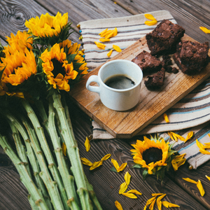 自作多情 (轻爵士)