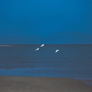 「悲怆奏鸣曲」古典吉他