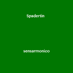 Sensarmonico