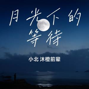 月光下的等待