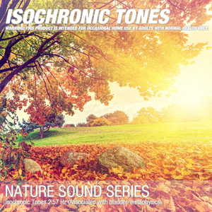 Isochronic Tones 2.57 Hz (Associated with bladder-metaphysics) 01