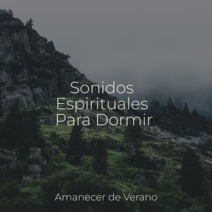 Armonía de la Sinfonía Eufórica