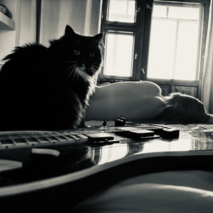 Мишка (Acoustic)