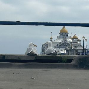 忘记的理由×给我一个理由忘记