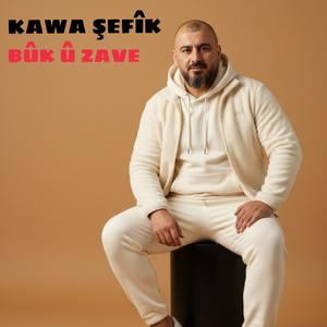 BÛK Û ZAVE