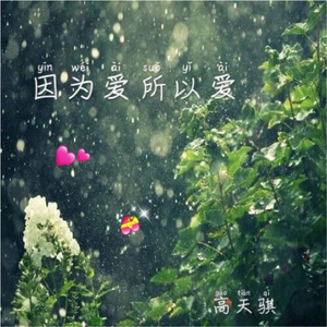 因为爱所以爱
