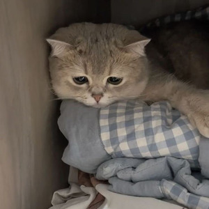 Ấn Nút Nhớ Thả Giấc Mơ (Remix)