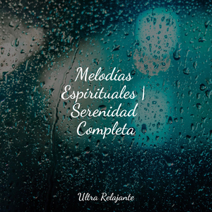 Mezcla Fuera De La Noche