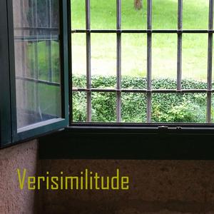 Verisimilitude