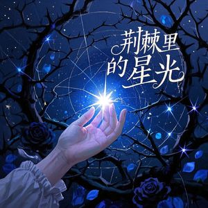 荆棘里的星光