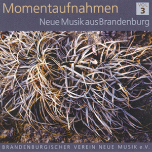 Violinsonate AE: IV. Nachruf