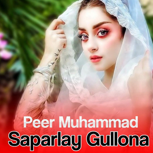 Ma Wayal rishtya De Za mafi Gowrama poe Na Sham