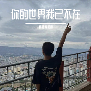 你的世界我已不在