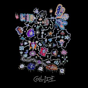 Is That Whale Flying?