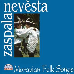 Kam sa ně ten grajcar děl