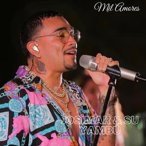 Mil Amores (En Vivo)