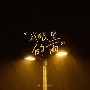 我眼里的雨 (已淋不到你)