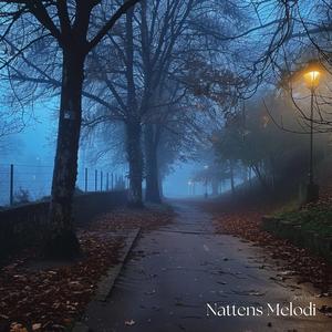 Nattens Melodi