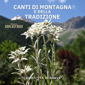 Cortesani (feat. Gianluca Brigo) [Live]