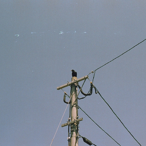 눈물을 흘리기에 내 눈은 너무 작아 (crystal ver.)