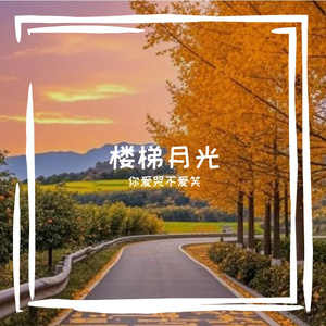 楼梯月光