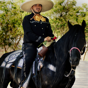 Se Va Muriendo Mi Alma