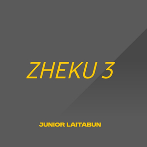 ZHEKU 3