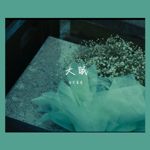 大眠（完整版）