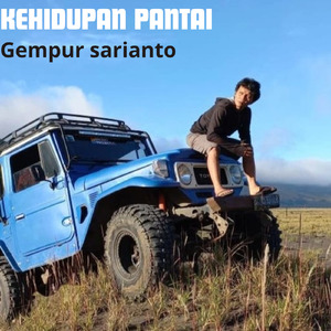Kehidupan Pantai
