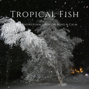 Silent Snowstorm – Winter Wind & Calm