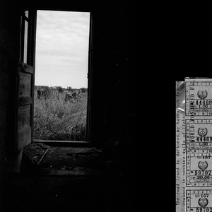 Light (feat. Akitsu Yoshinaka)