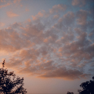 seasons