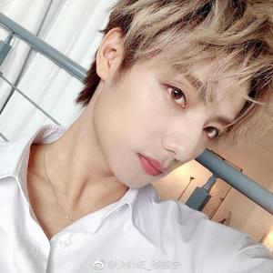 【李振宁出道贺曲/应援曲】赴锦（翻自 Dia）