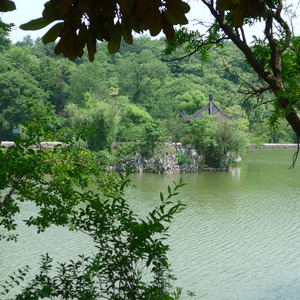 永恒的铭记—母爱