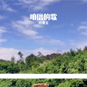 木棉花之恋  -许怀造 叶惠玉