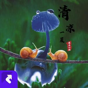 清凉一夏(DJ纯音乐)