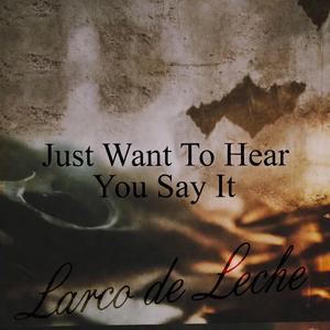 Just Want To Hear You Say It