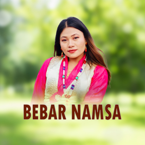 bebar Namsa