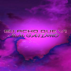 Eletrofunk-Eu Acho Que Vi Um Gatinho (DJ JHON)